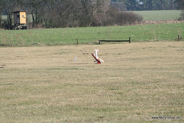 IMG 9605