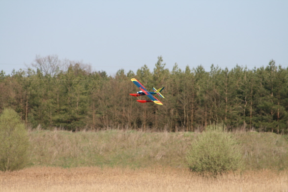 db Peckfitz2010 1281