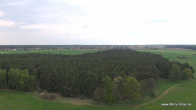 4-vlcsnap-2013-05-13-16h54m42s130[1]