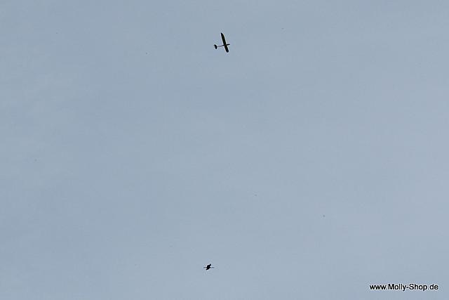 55-IMG 4761