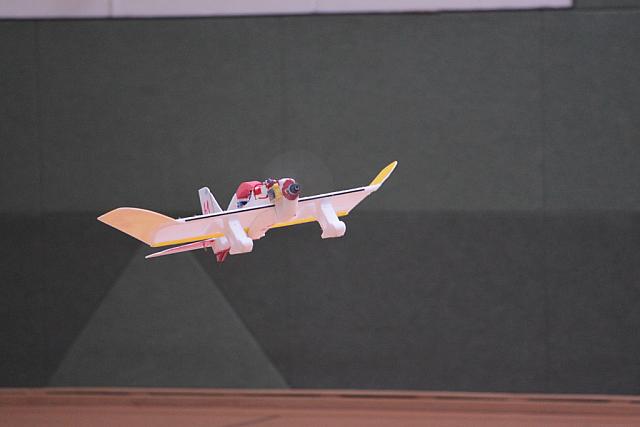 IMG 3663