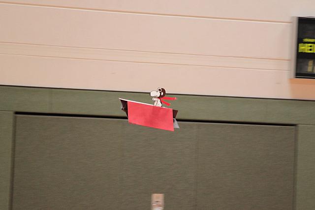 IMG 3921