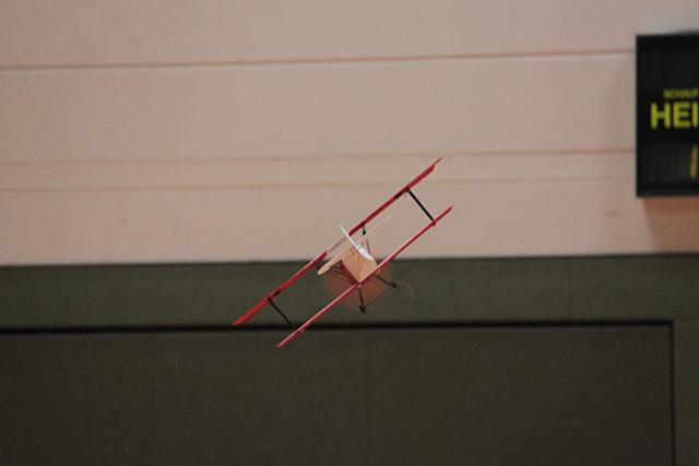 IMG 4208