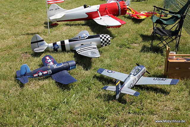 Anklam2011 (1)