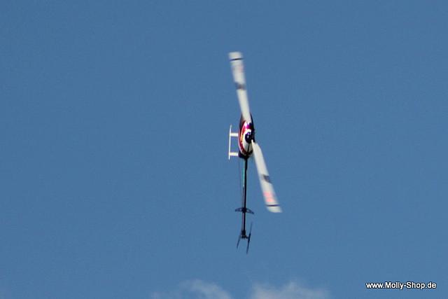 Anklam2011 (57)