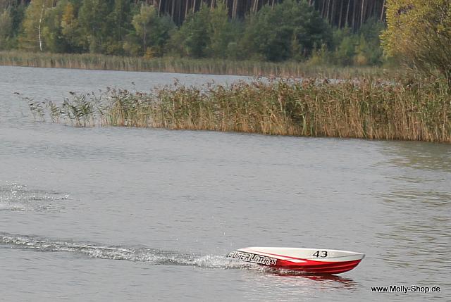 IMG 2698