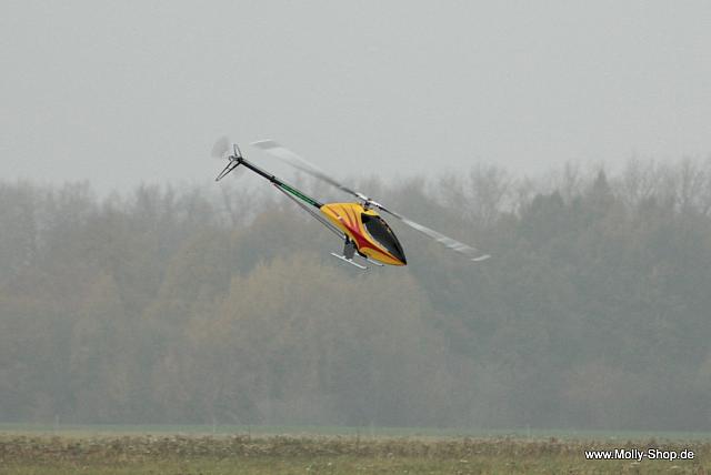 IMG 3800