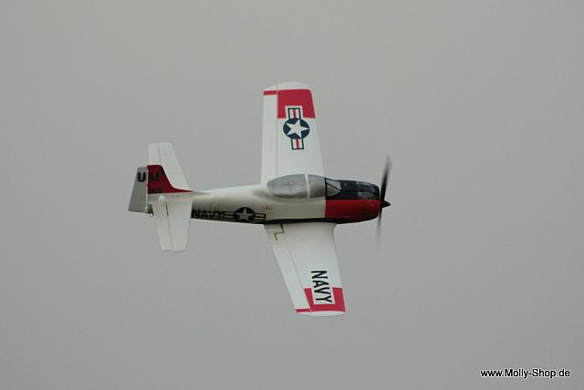 IMG 3855
