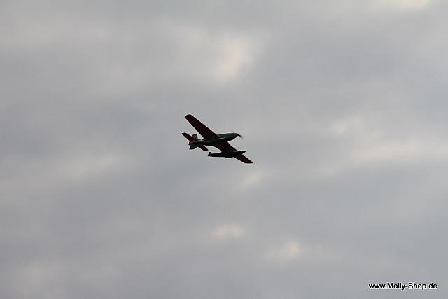 IMG 7953