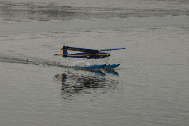 IMG 9585