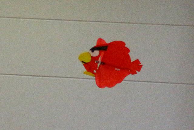 Hallenflug (39)