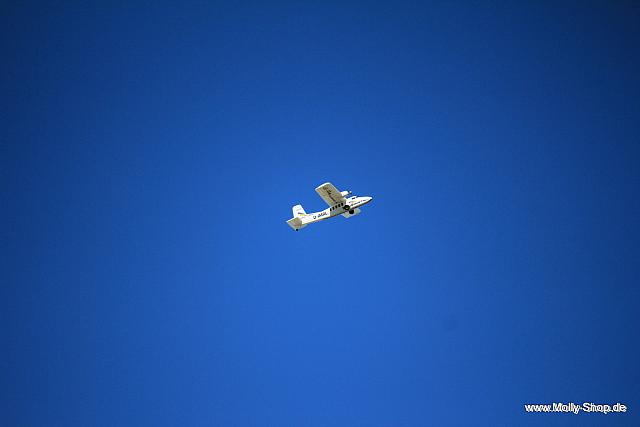 020-021-IMG 6025