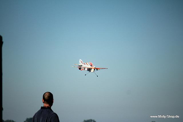 037-037-IMG 6110