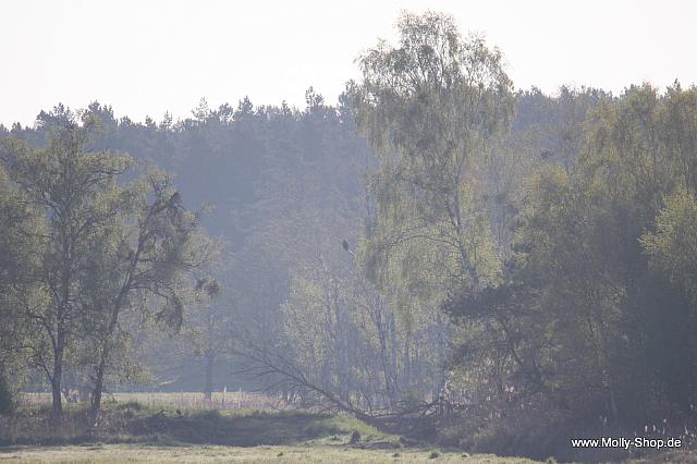 IMG 7862